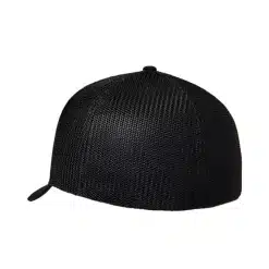 Gorra Fox Absolute Flexfit Ng